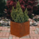Petteri Wiimaa corten plantekrukke Fiora S