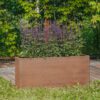 Petteri Wiimaa corten plantekrukke Lilly-S
