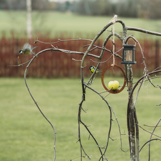 Petteri Wiimaa fuglefoder Circle Petteri Wiimaa fuglefoder Circle