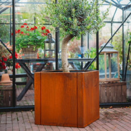 Petteri Wiimaa corten plantekrukke Clara 3XL
