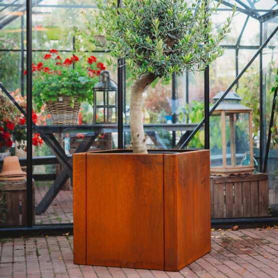 Petteri Wiimaa corten plantekrukke Clara 3XL
