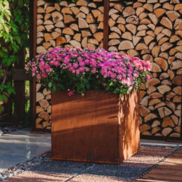 Petteri Wiimaa corten plantekrukke Fiora XL